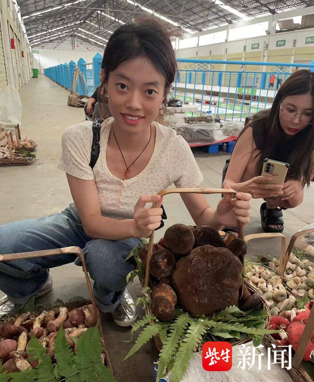 Yunnan mushroom feature story